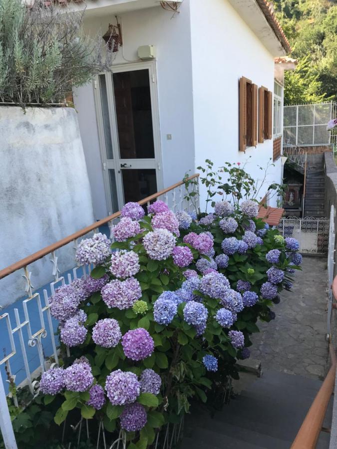 סקאלה Appartamento Rosa מראה חיצוני תמונה